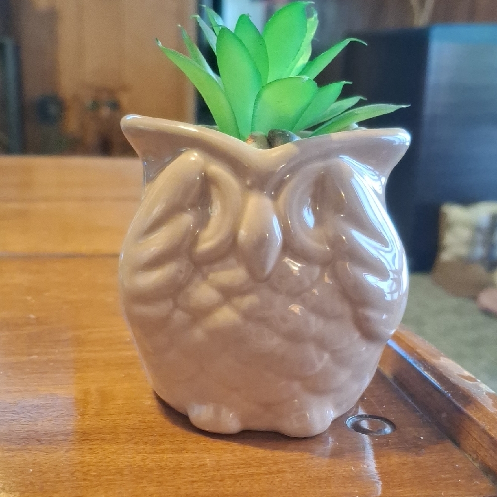 Owl Shaped Ceramic Planter